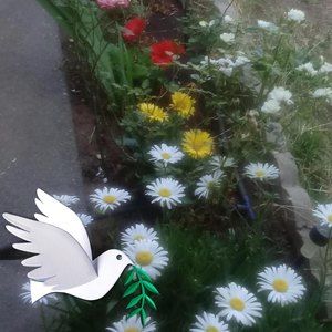 Meet your Posher, Ritu